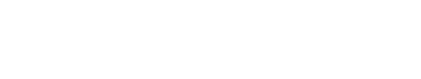 ATTEMPT